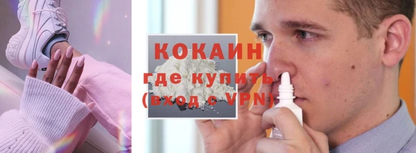 стаф Вязники
