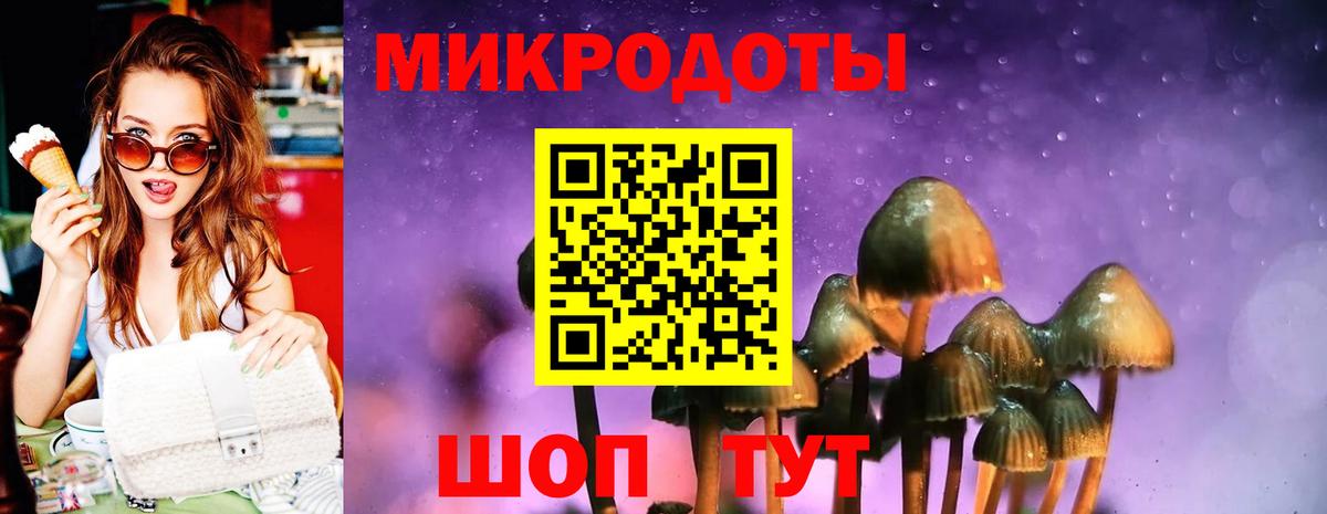 купить наркотики цена  Вход с VPN  Псилоцибиновые грибы Psilocybe  Можга  Галлюциногенные грибы прущие грибы 