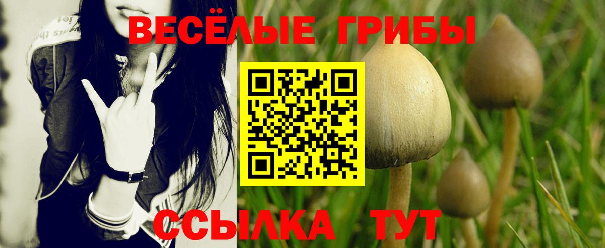Галлюциногенные грибы прущие грибы Можга